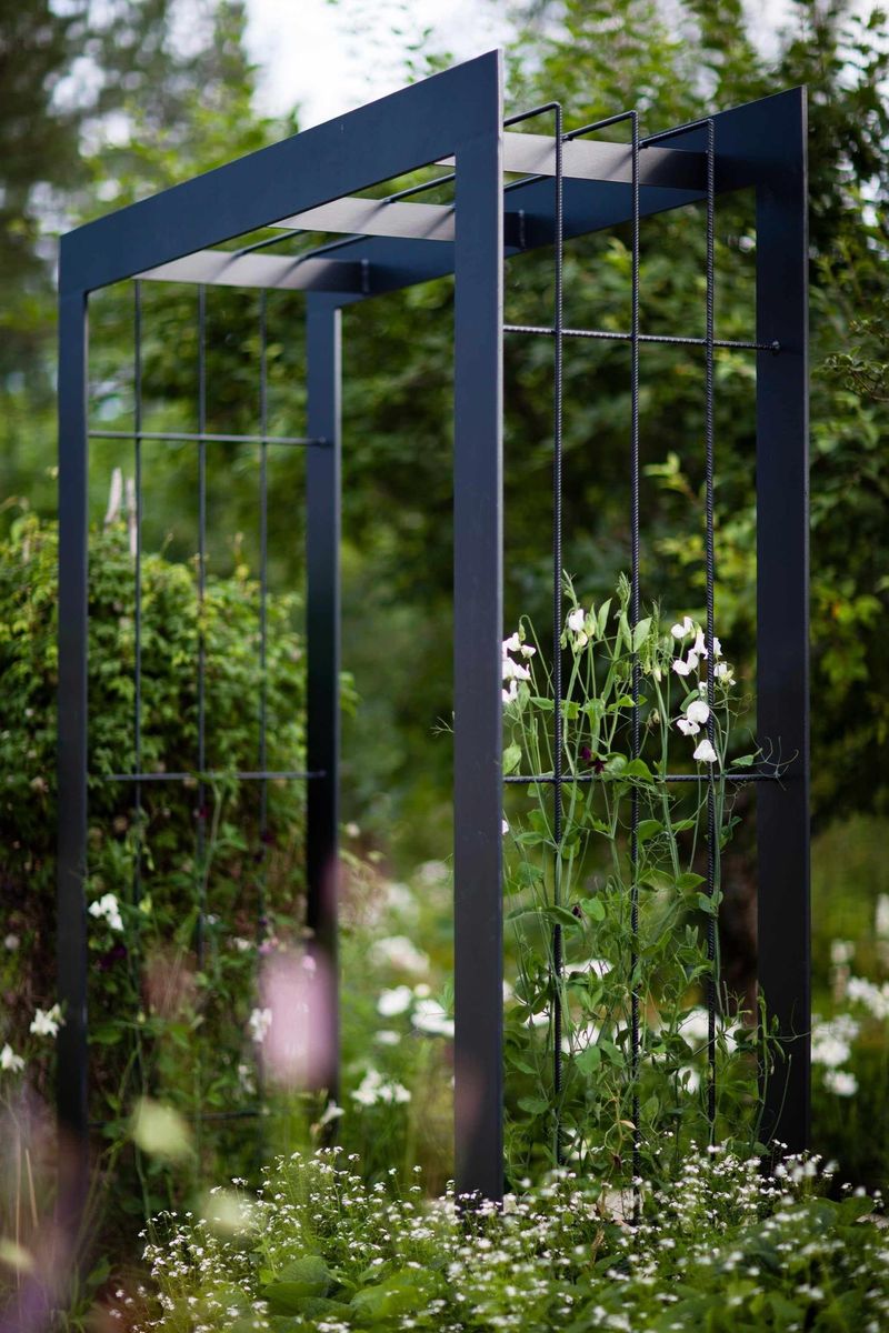 Modern minimalist steel frame arbor