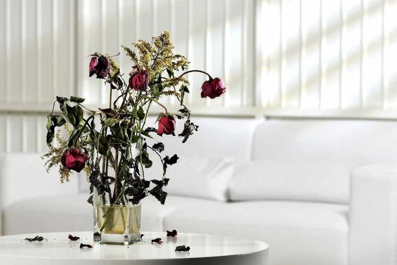 Dried Flowers Decorating Living Spaces