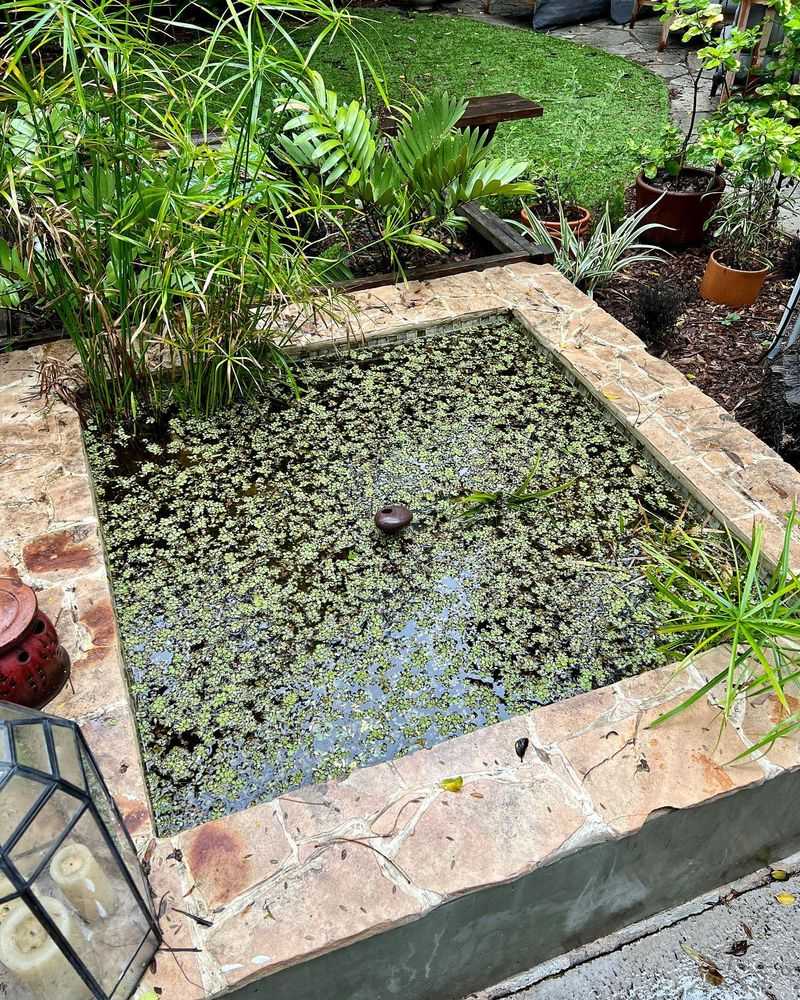 Leaky Garden Fountains With Cracked Pumps