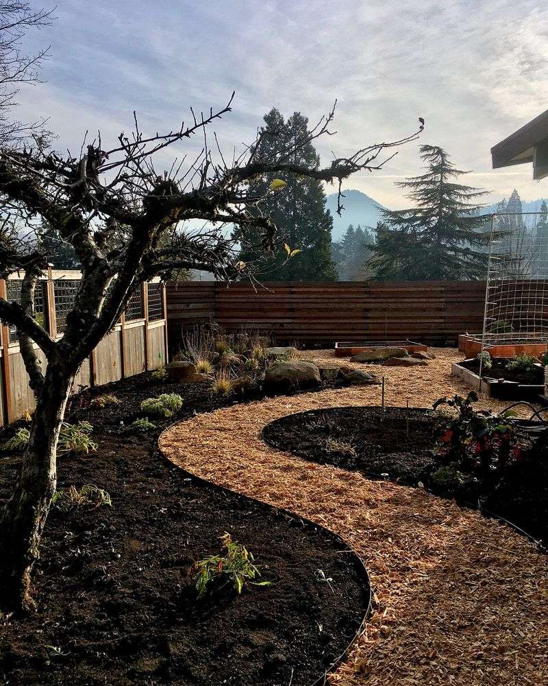 Dead or Sparse Landscaping