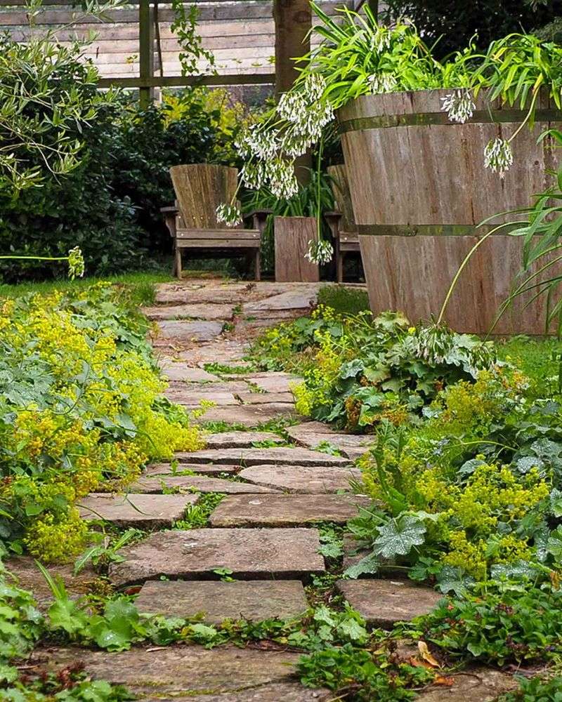 Overgrown Walkway Plants
