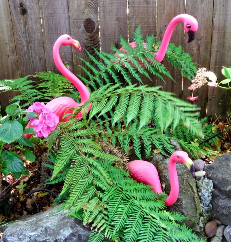 Plastic Flamingos With Faded Pink Paint