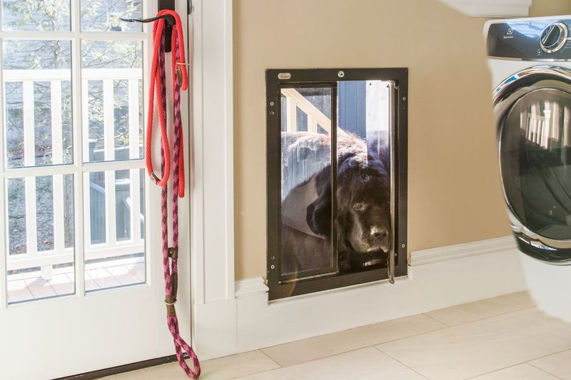 Permanent Pet Features