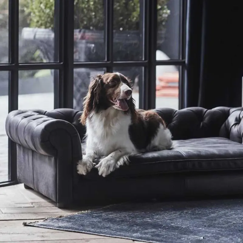 Upholstered pet beds that match your sofa