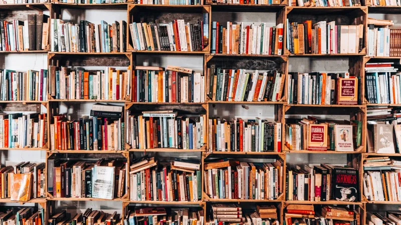 Crowded Bookshelves
