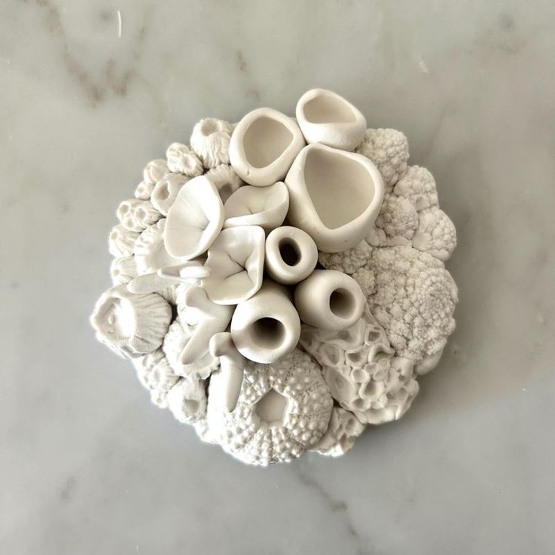 Coral-Inspired Sculptures