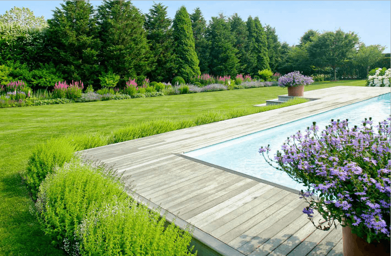 Lavender-Lined Pool Walkways