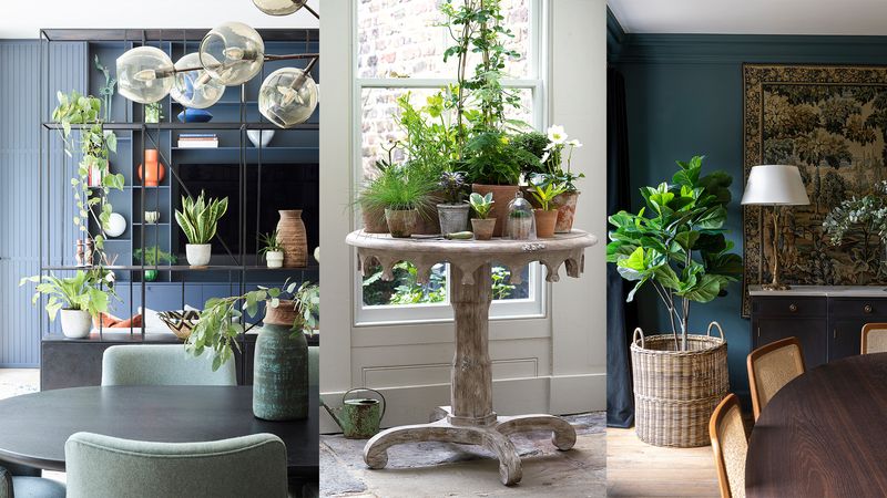Botanical Art Arrangements