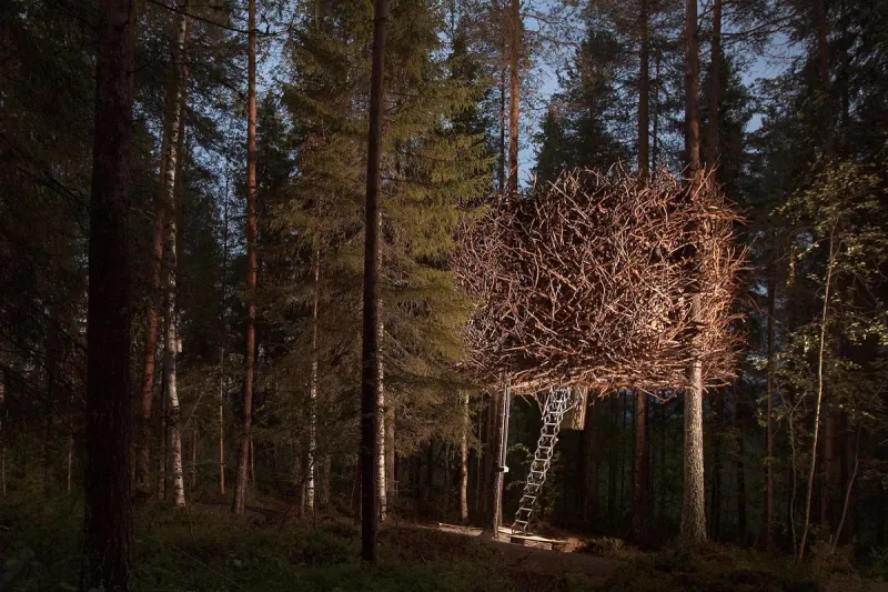 Treehotel Bird's Nest Sweden