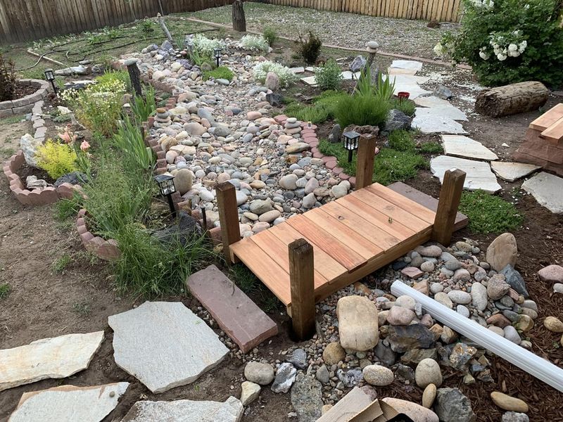 Dry Streambed Wonder