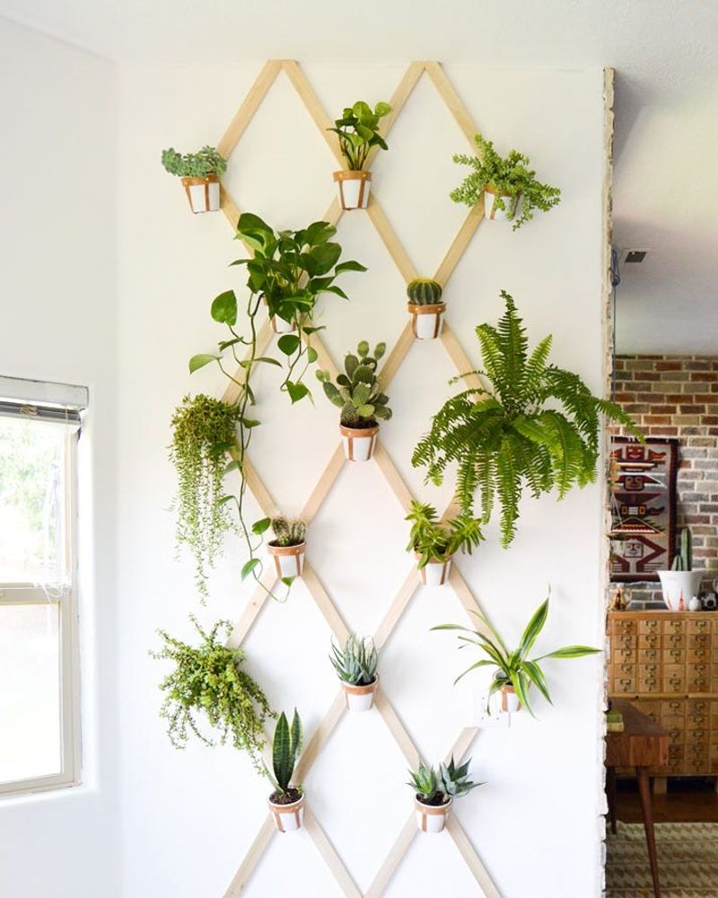 Go Vertical With Plants