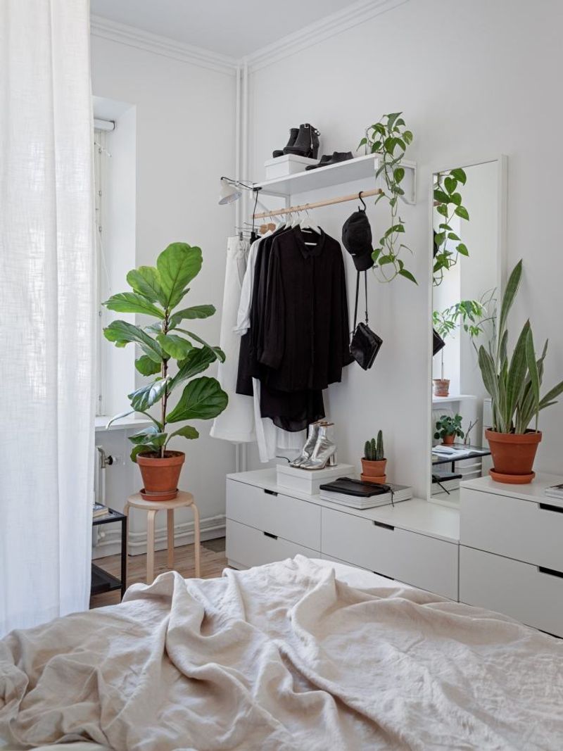 Use Plants to Add Life Without Overcrowding