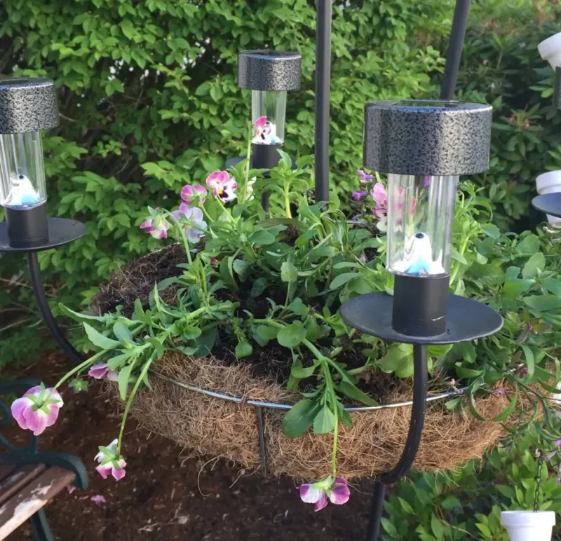 Solar Light Planters