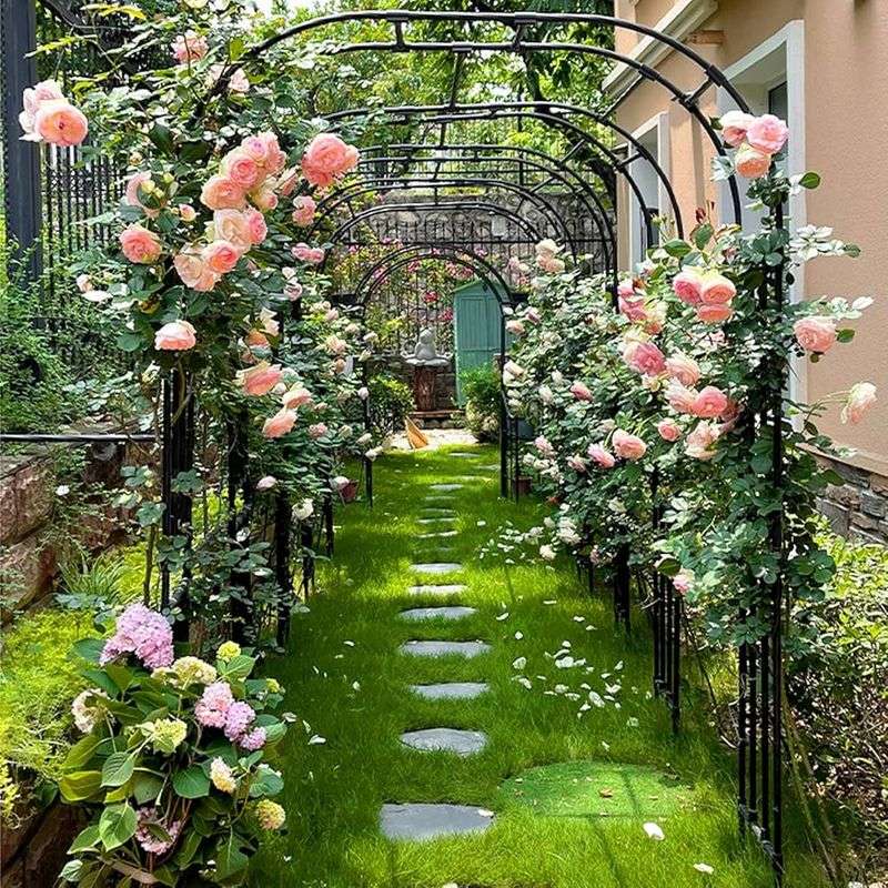 Metal arch with climbing roses