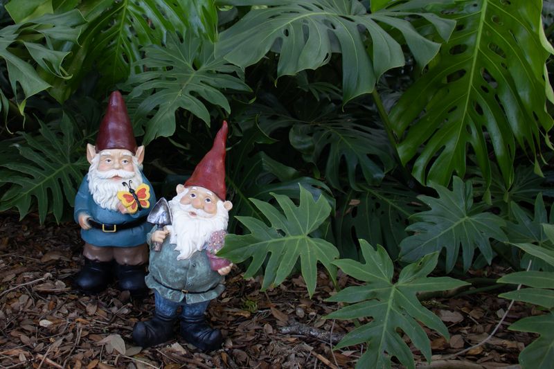 Intrusive Garden Gnomes