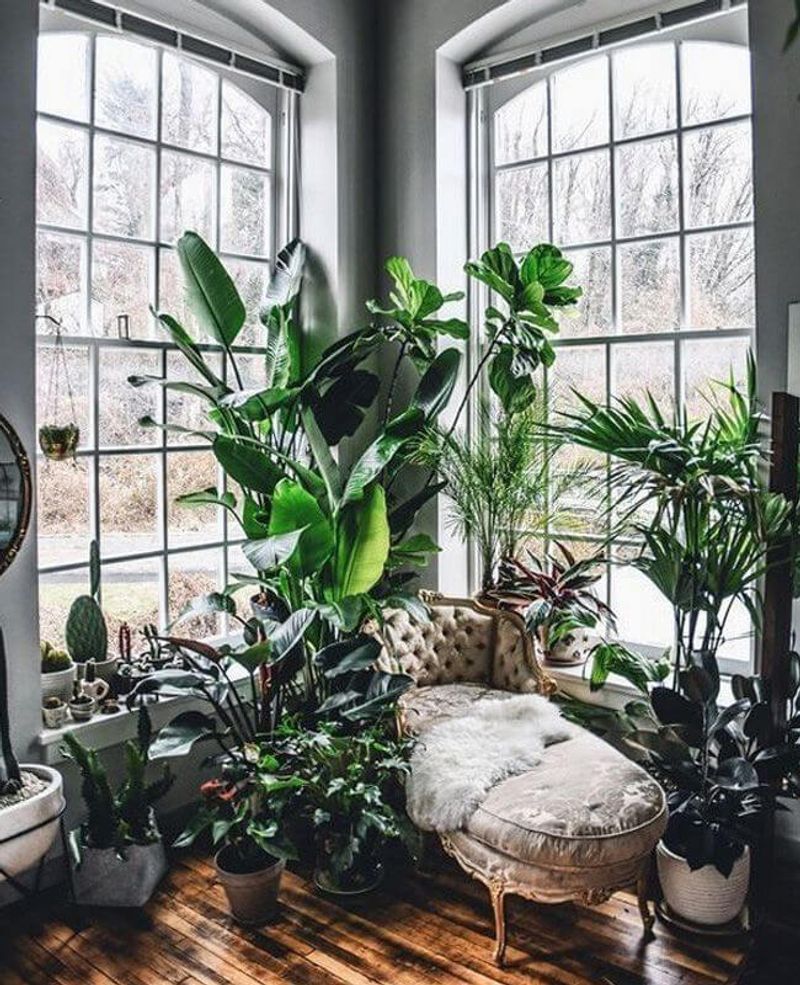 Plants Multiply Like Happy Rabbits