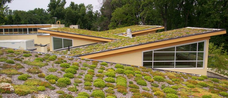 Environmental Impact And Sustainability