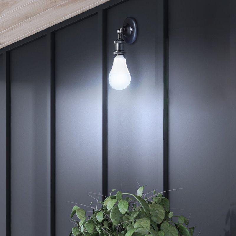 Daylight Bulbs In Existing Fixtures