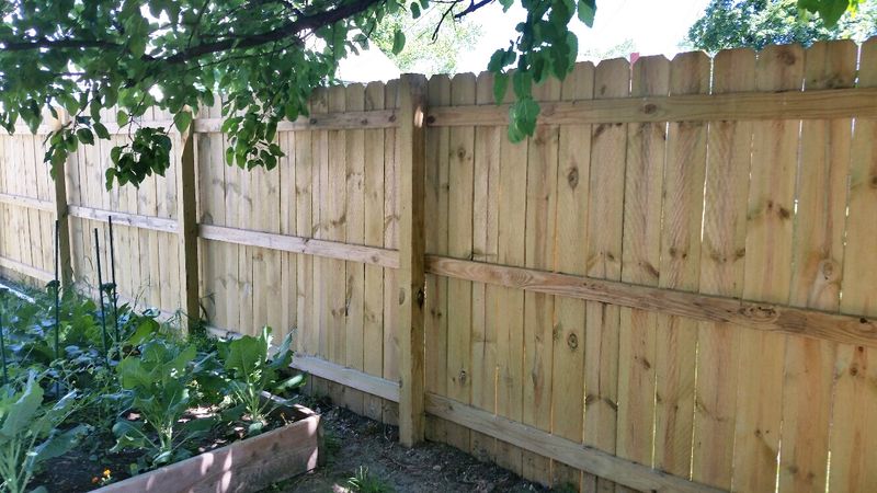 Pressure-Treated Wood