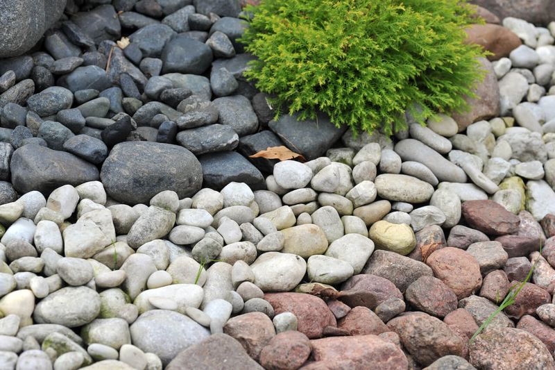 Decorative Rocks That Become Weed Magnets