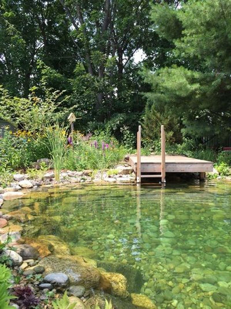 Natural Swimming Pond