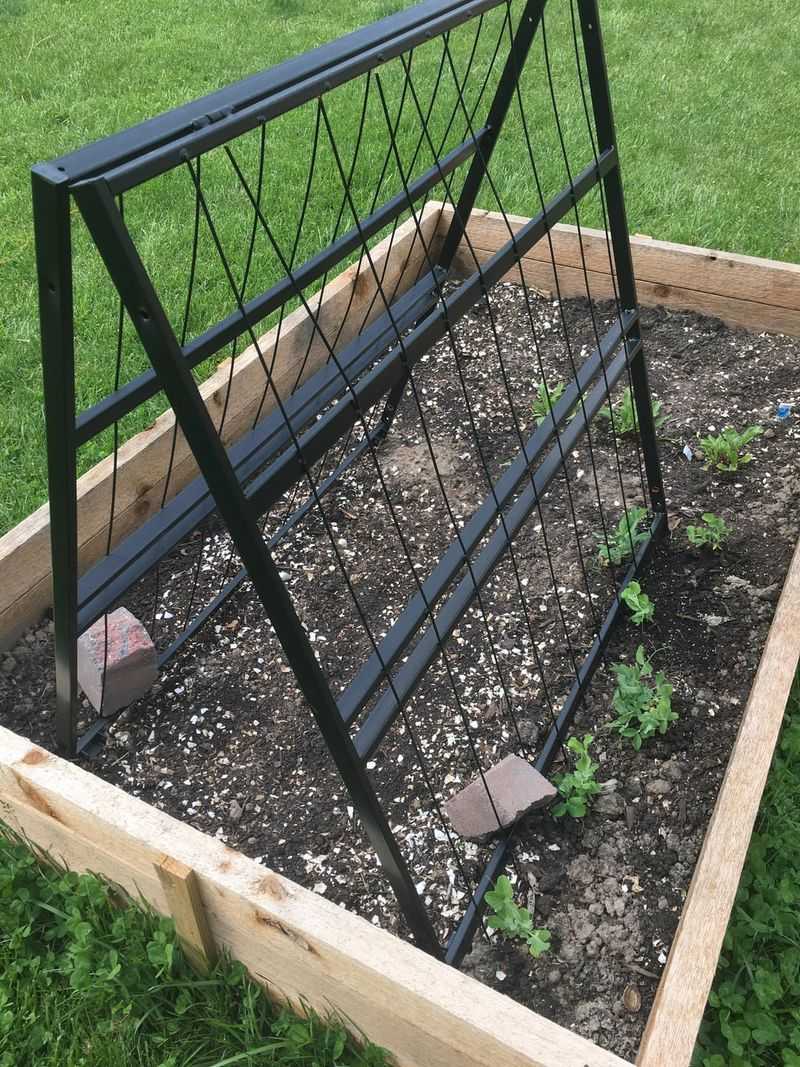 Use an Old Bed Frame as a Garden Trellis
