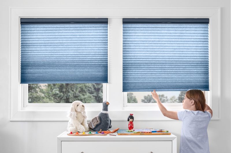 Consider Child and Pet Safety