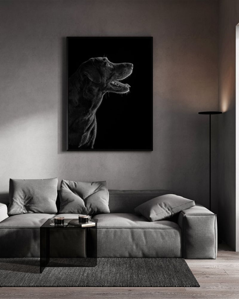 Custom pet portraits in gallery walls