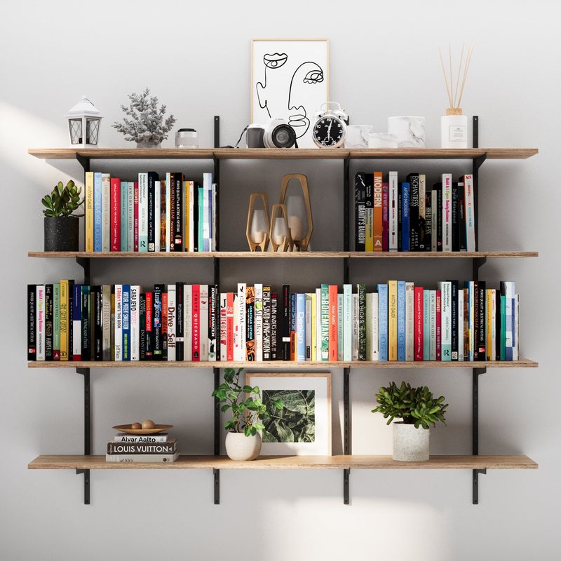Wall-Mounted Shelves