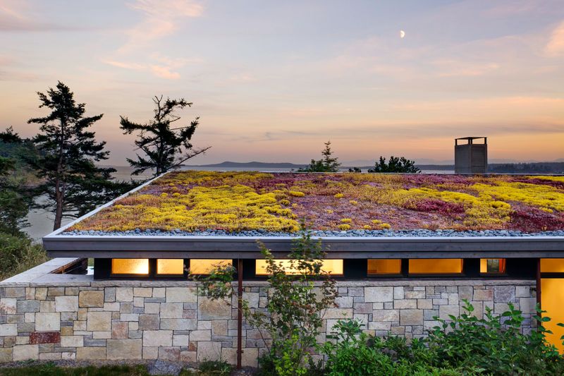 Green Roof Possibilities