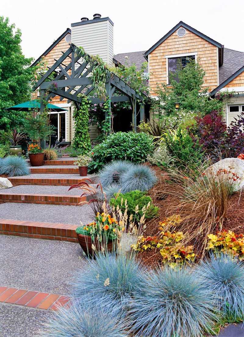 Plant Ornamental Grasses In Sculptural Arrangements