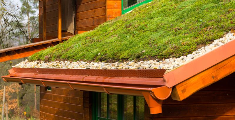 Construct A Green Roof On Sheds Or Gazebos