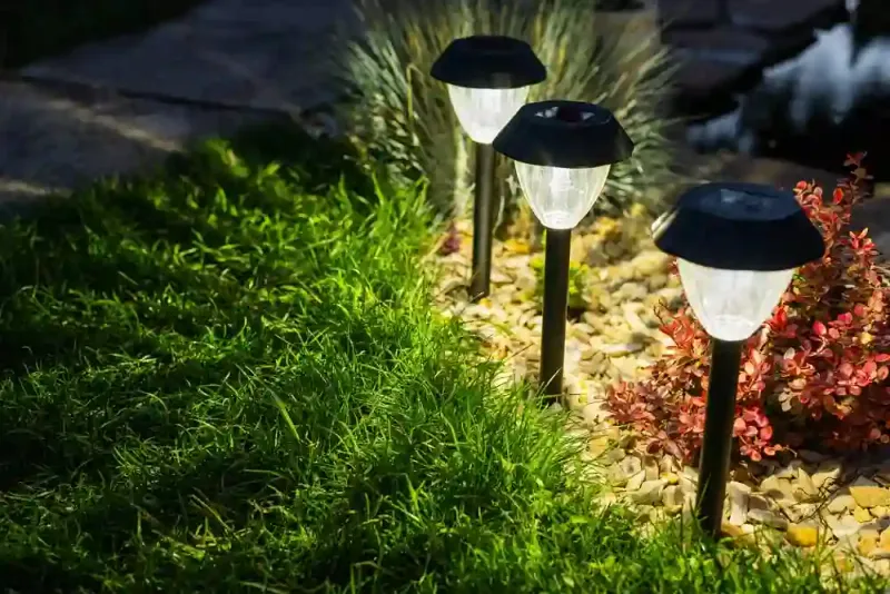 Install Solar-Powered Pathway Lights