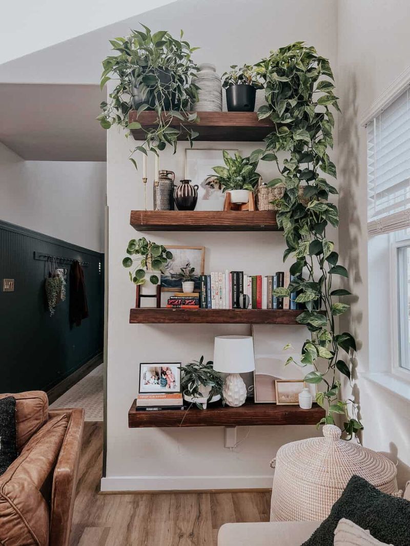 Floating Shelves