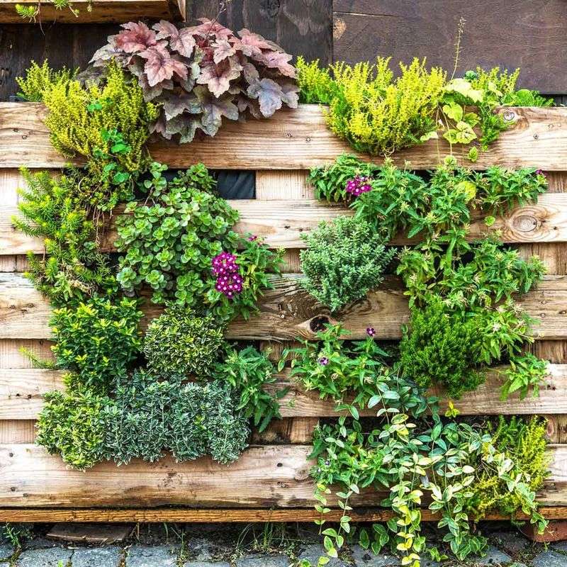 Living Wall Disguise