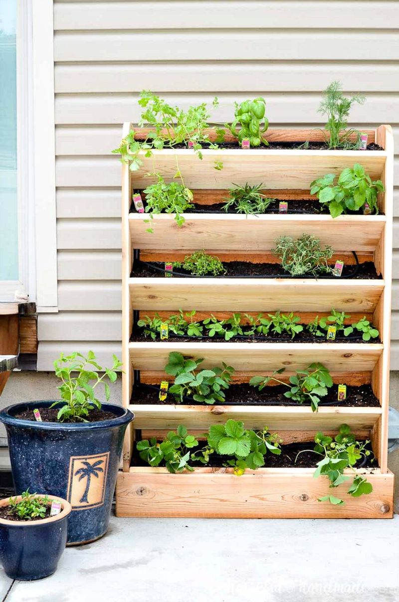 Elegant Small-Space Vegetable Gardens