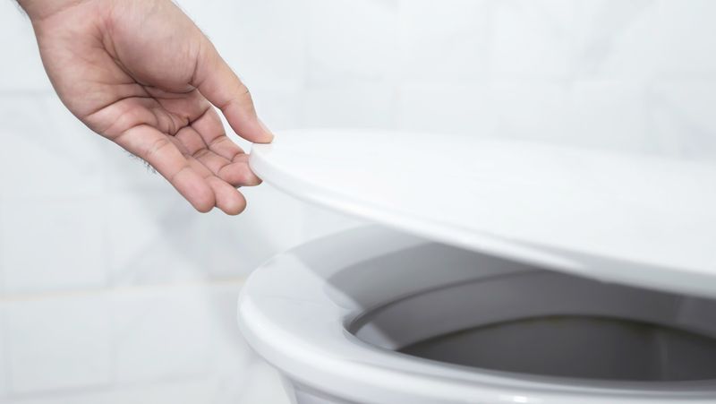 Toilet Seat Up Flushing Away Fortune