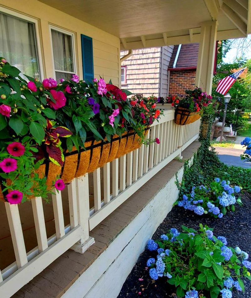 Build Window Boxes For Year-Round Greenery