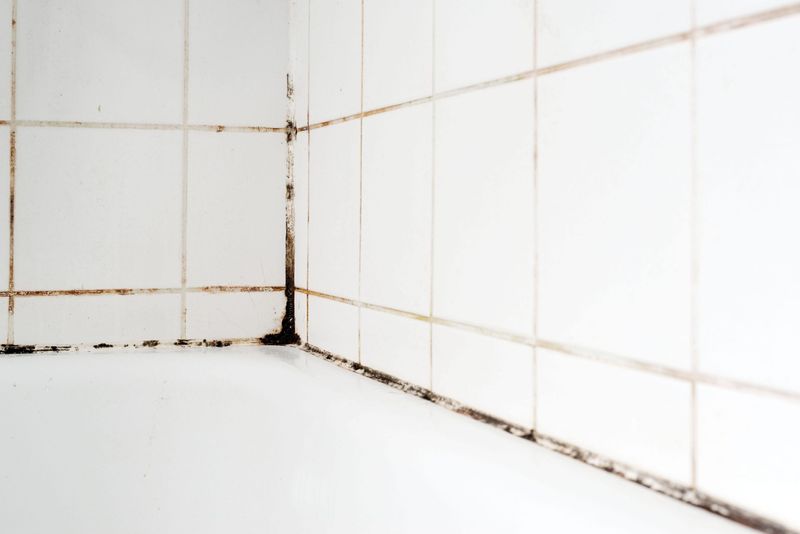 Mold And Mildew Growth In Grout Lines
