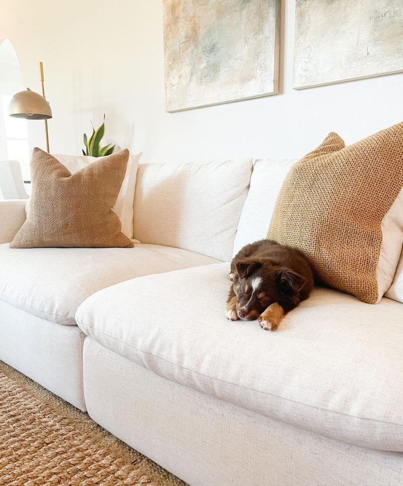 White Fabric Sofas In High Traffic Areas
