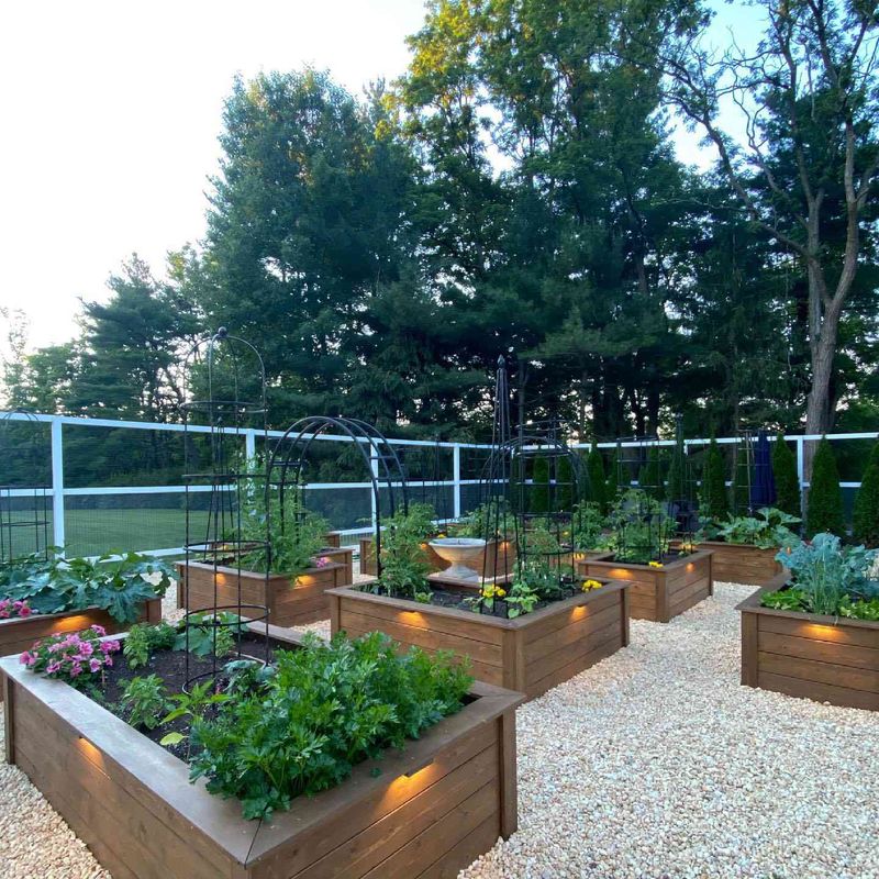 Productive Raised Garden Beds