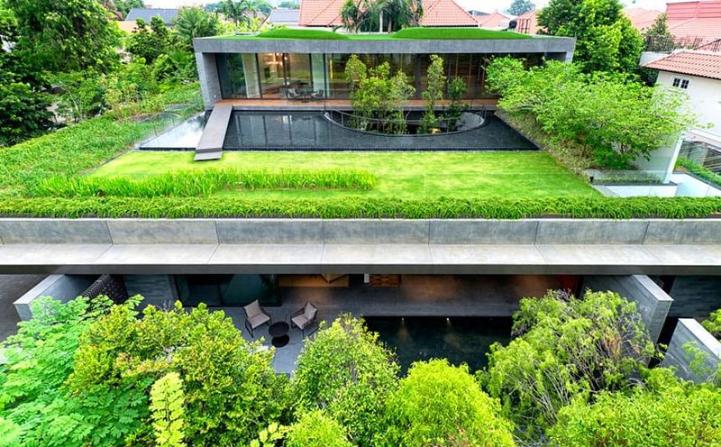 Perfect for Rooftop Gardens