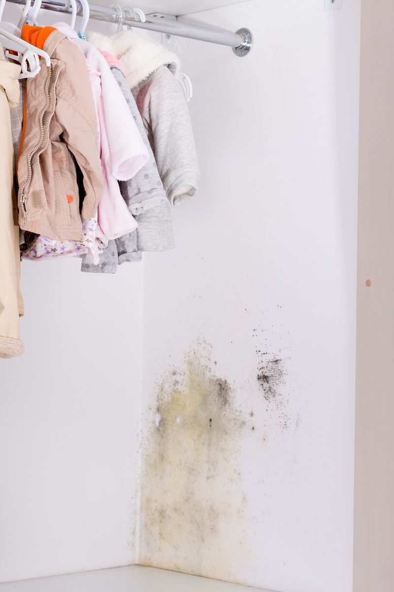 Wet Or Damp Clothing