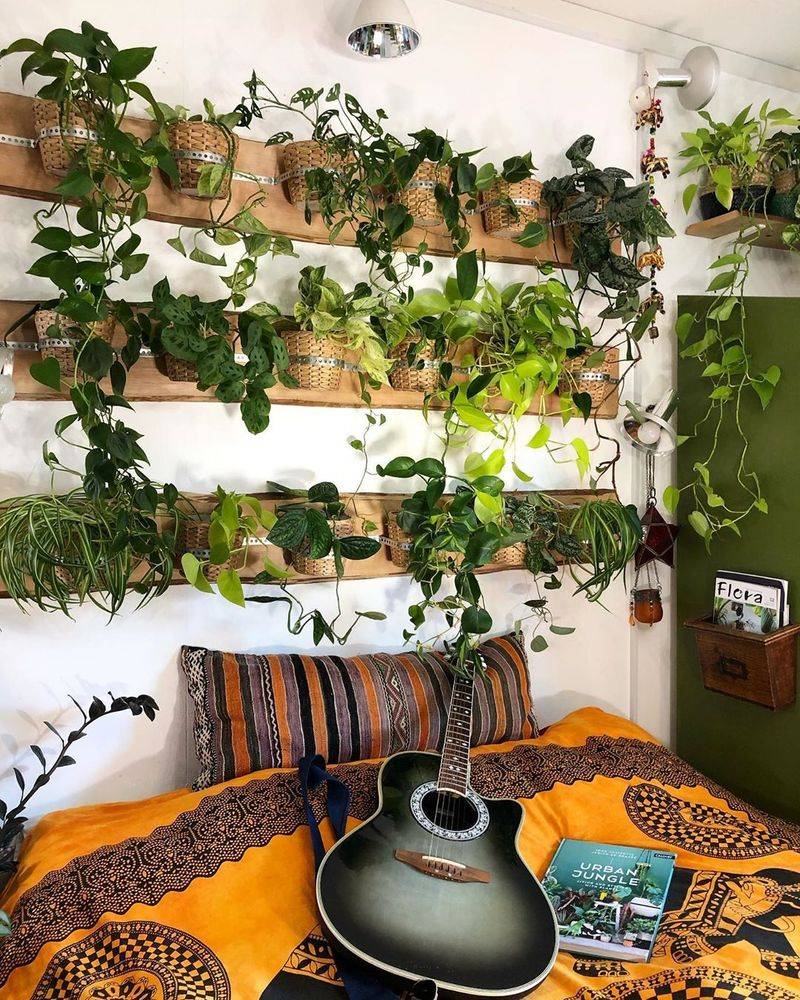 Living Green Wall Wonder