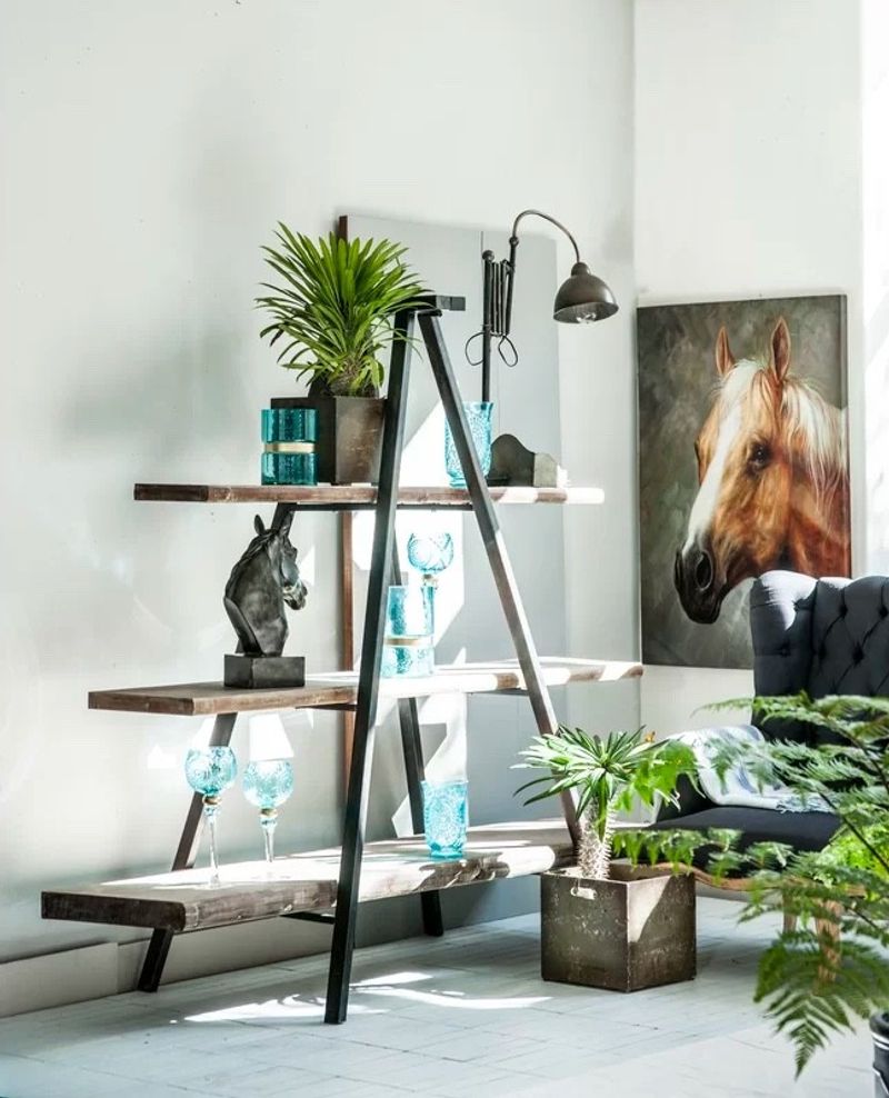 Rustic Ladder-Style Shelving