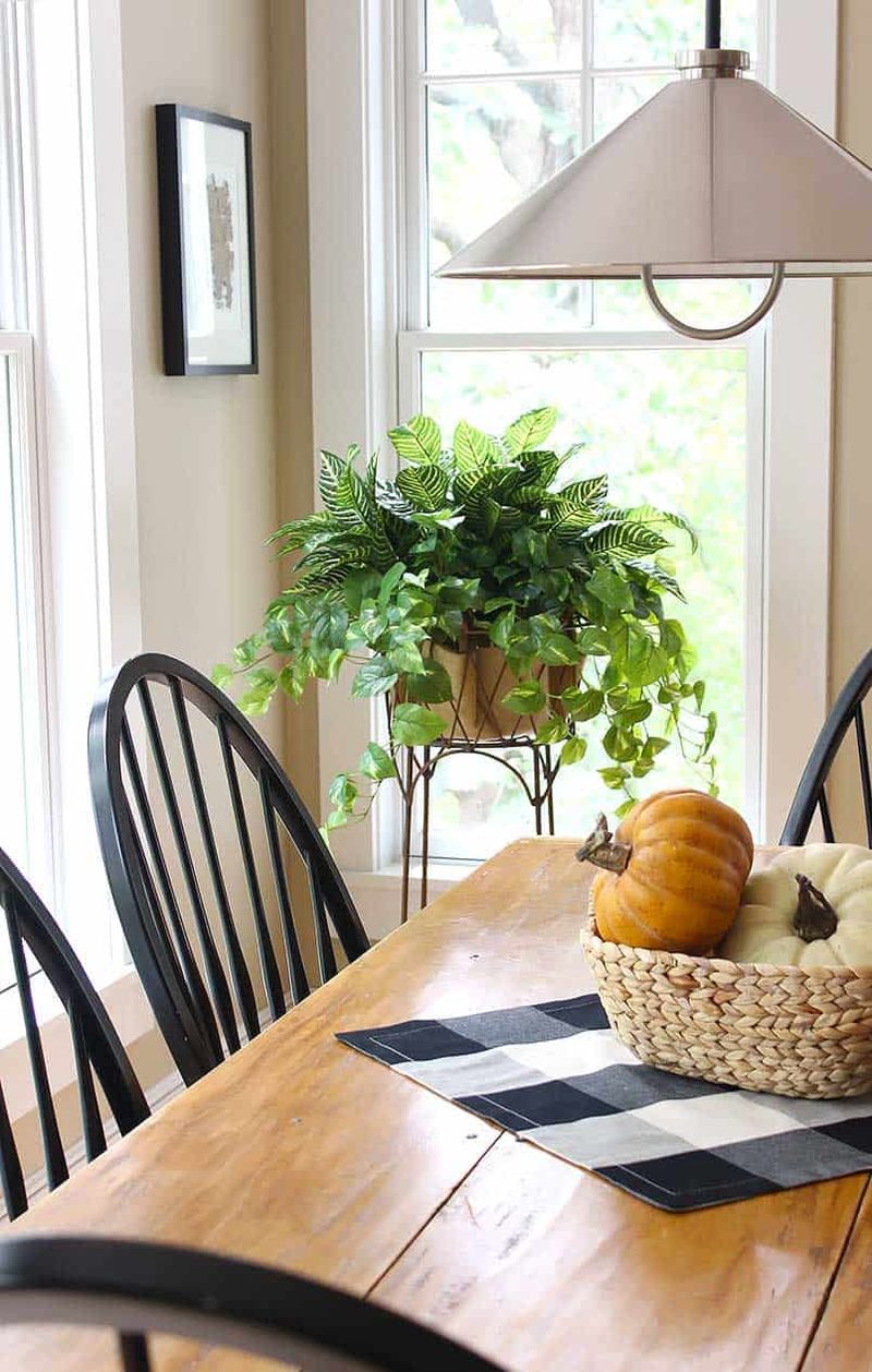 Fake plants collecting dust