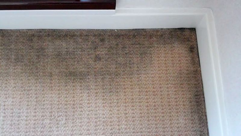 Carpet Wear Paths