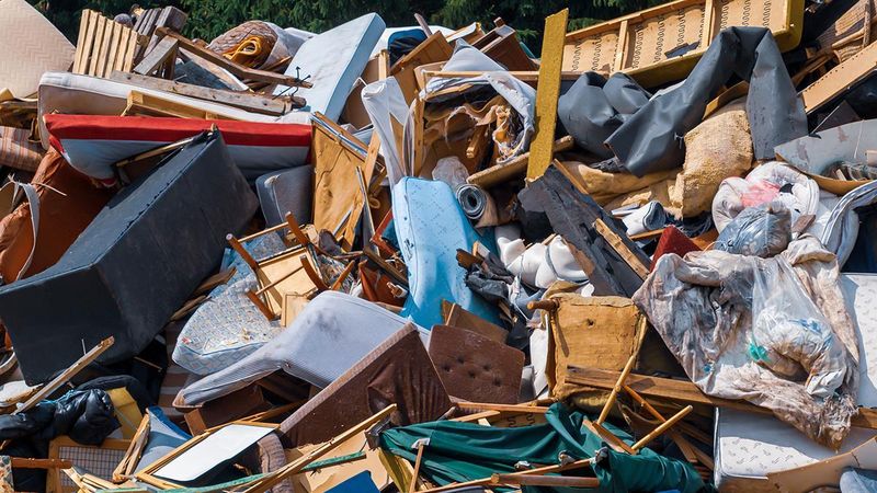 Environmental Impact