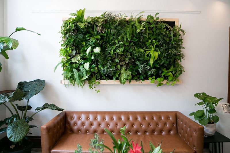 Living Green Walls
