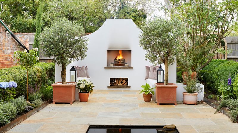 Potted Twin Trees Frame Views